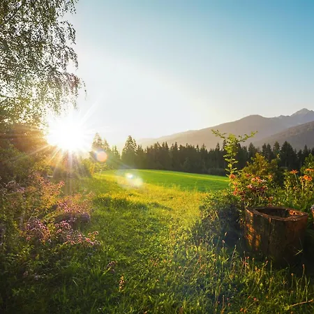 Bio Bauernhof Leitenmüller * Ramsau am Dachstein