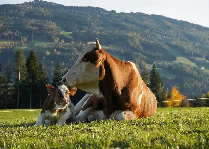 Apartment Bio Bauernhof Leitenmueller *